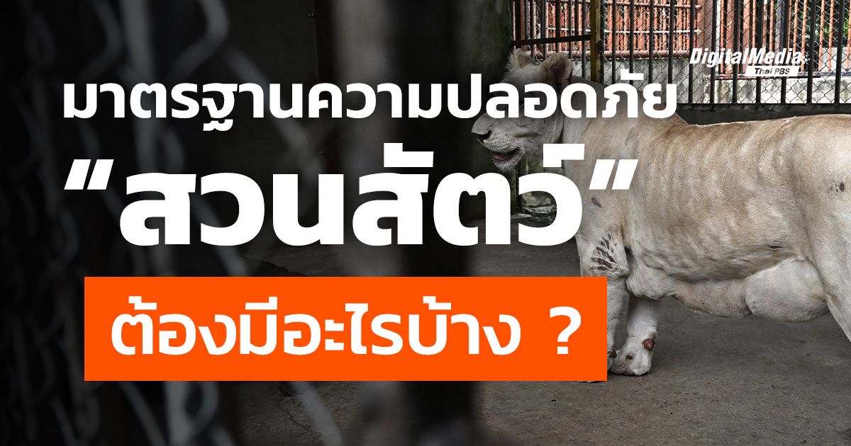 มาตรการรักษาความปลอดภัย บทบัญญัติที่ทุกสวนสัตว์จำเป็นต้องมี