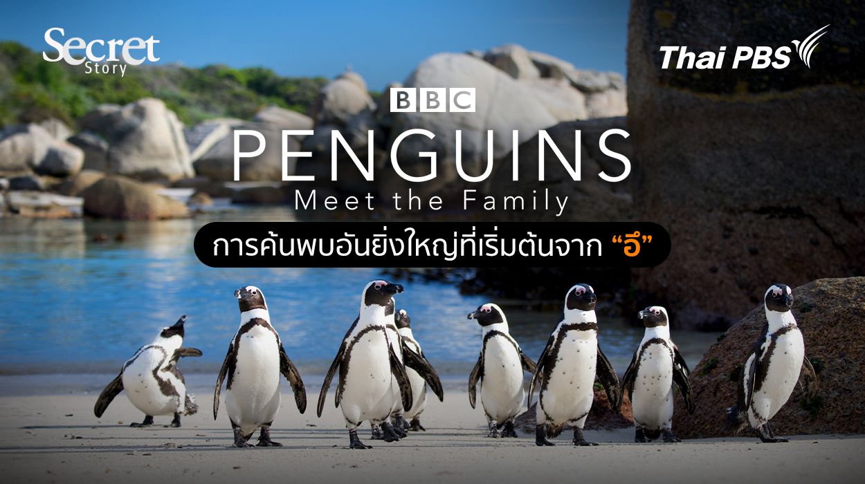 Secret Story | Penguins: Meet The Family การค้นพบอันยิ่งใหญ่ที่เริ่มต้นจาก “อึ”
