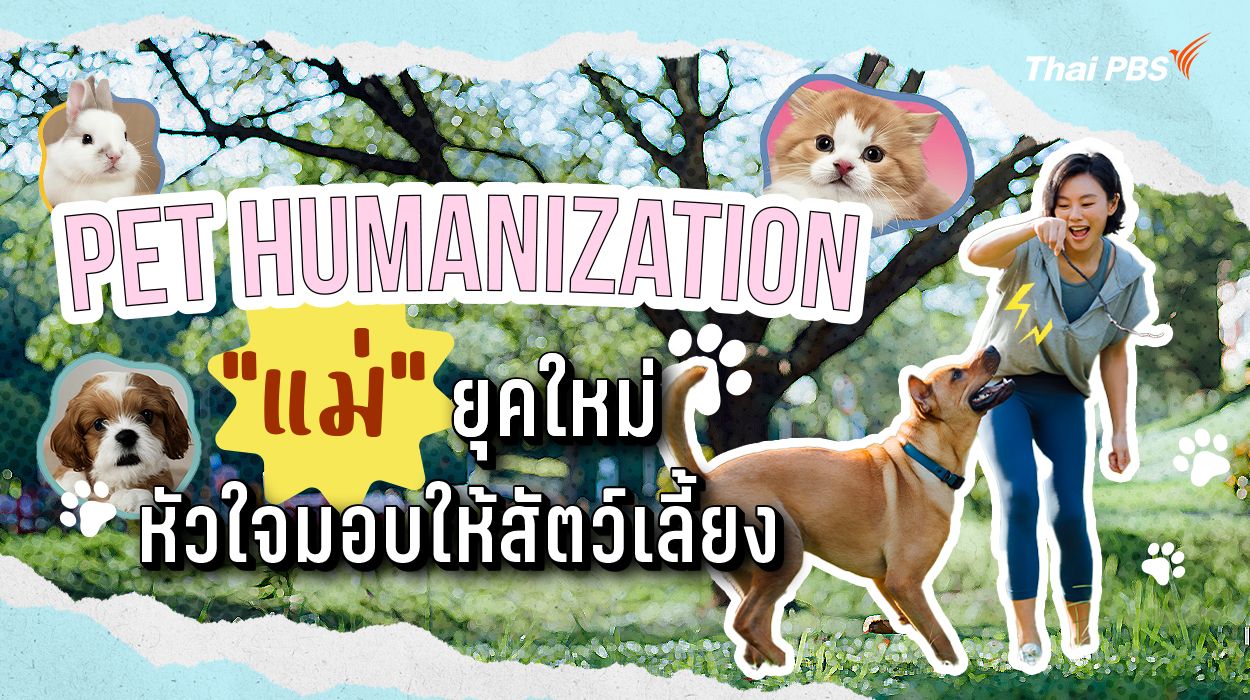 Pet Humanization "แม่" ยุคใหม่หัวใจมอบให้สัตว์เลี้ยง