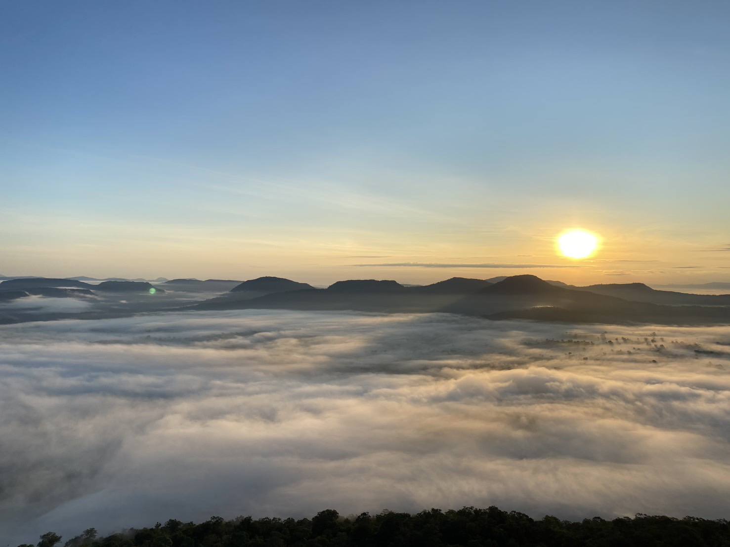 ทะเลหมอกผาชะนะได (ภาพจาก: Facebook อุทยานแห่งชาติผาแต้ม Phataem National Park 9 พ.ย. 68)