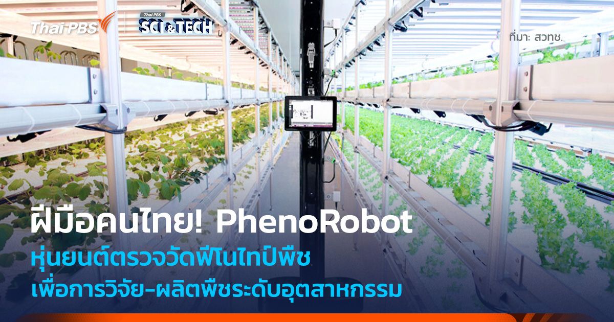 คนไทยพัฒนา! PhenoRobot หุ่นยนต์ตรวจวัดฟีโนไทป์พืช เพื่อผลิตพืชระดับอุตสาหกรรม