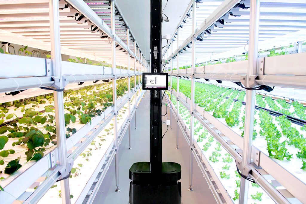 PhenoRobot หุ่นยนต์ตรวจวัดฟีโนไทป์พืชเพื่อการวิจัยและการผลิตพืชในระดับอุตสาหกรรม ภาพจาก สวทช.