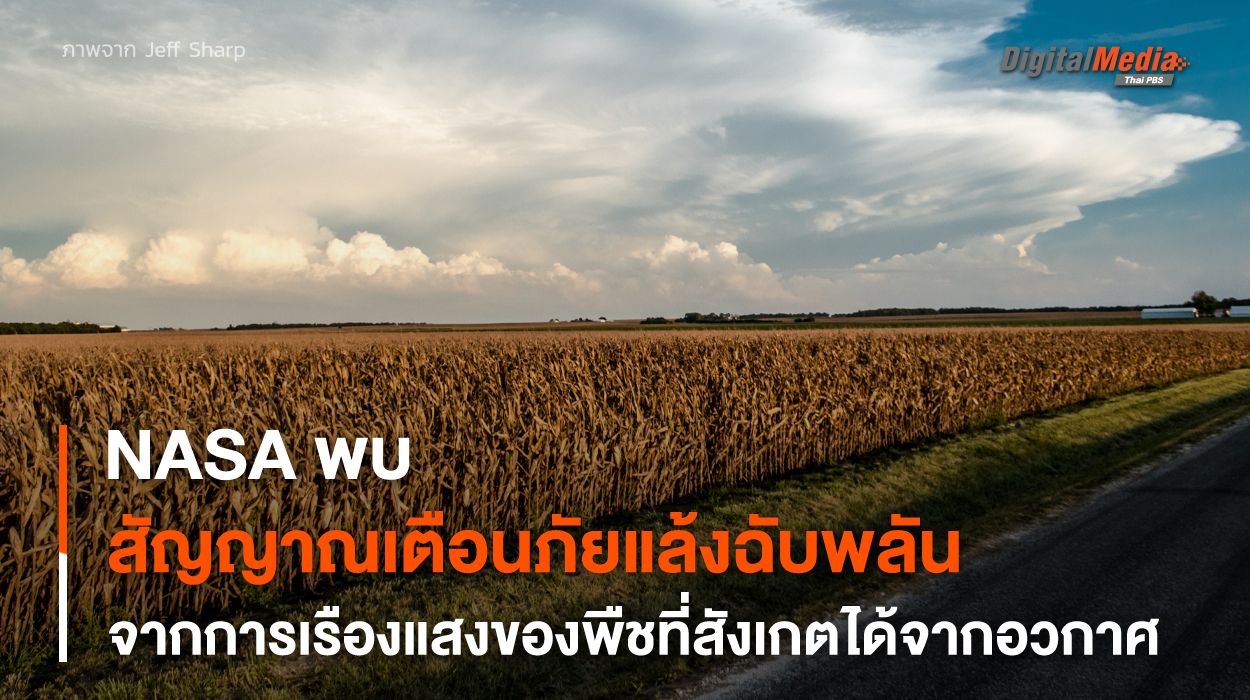 ผลผลิตเกษตรเพิ่มขึ้นรวดเร็ว อาจบอกถึง “ภาวะภัยแล้งฉับพลัน” กำลังมาเยือน