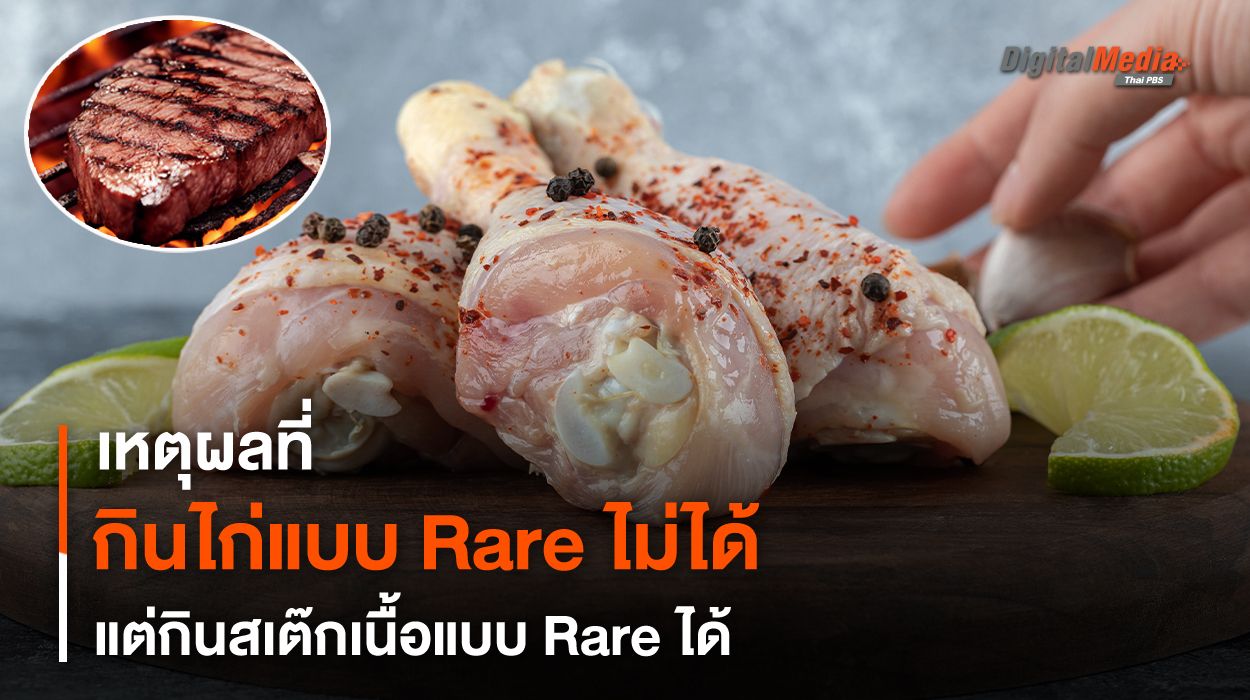 เหตุผลที่กิน “ไก่” แบบ Rare ไม่ได้ แต่กินสเต๊กเนื้อแบบ Rare ได้