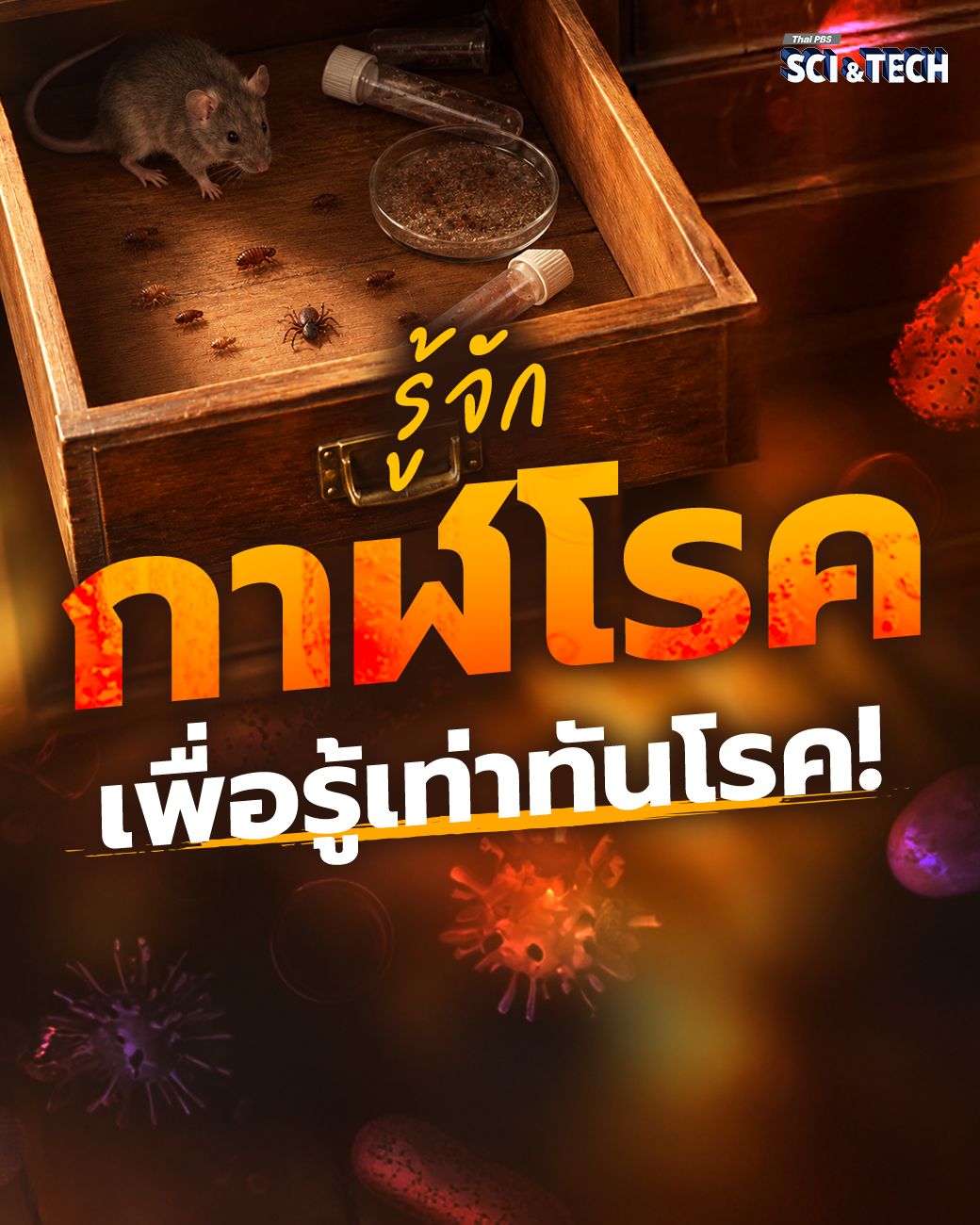 รู้จัก “กาฬโรค” เพื่อรู้เท่าทันโรค! พร้อมรับมือ-ป้องกันอันตรายที่อาจจะเกิดขึ้น