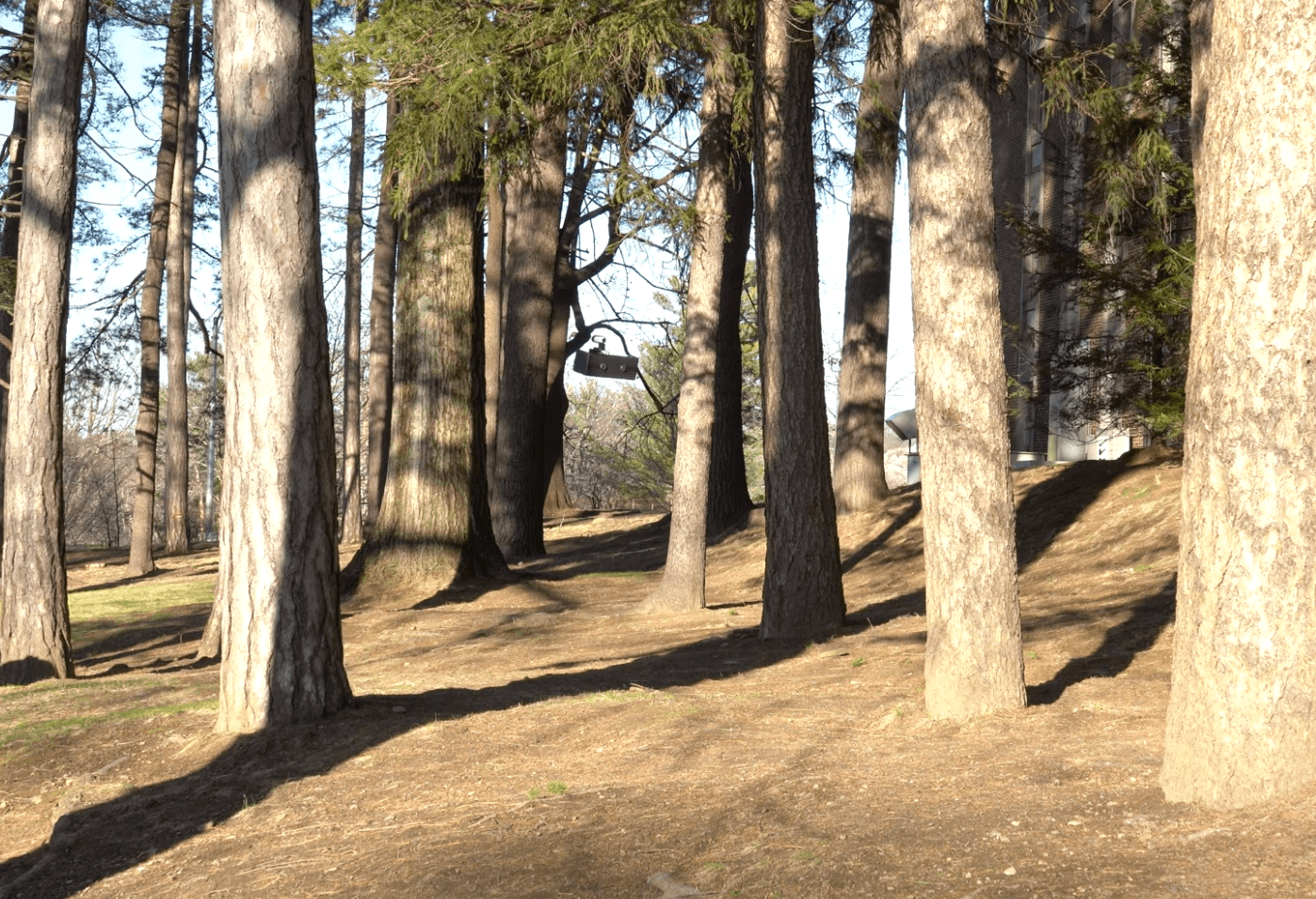 การทดสอบโดรนบินในสิ่งแวดล้อมจริง