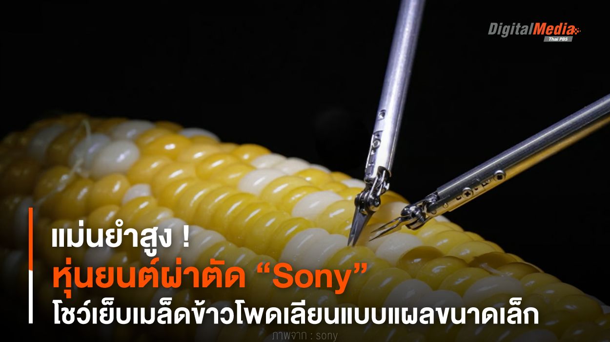 แม่นยำสูง ! หุ่นยนต์ผ่าตัด “Sony” โชว์เย็บเมล็ดข้าวโพดเลียนแบบแผลขนาดเล็ก