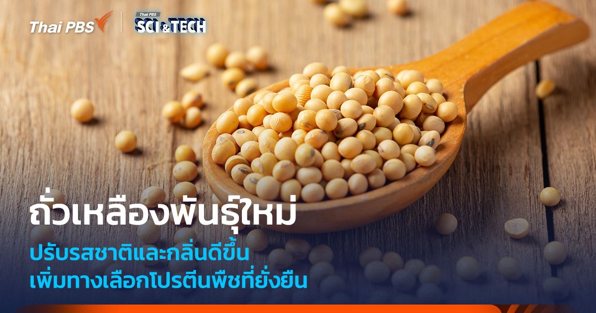 ถั่วเหลืองสายพันธุ์ใหม่ รสชาติและกลิ่นดีขึ้น เพิ่มทางเลือกโปรตีนพืชที่ยั่งยืน