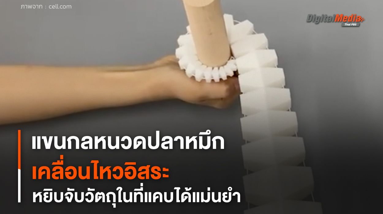 แขนกลหนวดปลาหมึก เคลื่อนไหวอิสระ หยิบจับวัตถุในที่แคบได้แม่นยำ