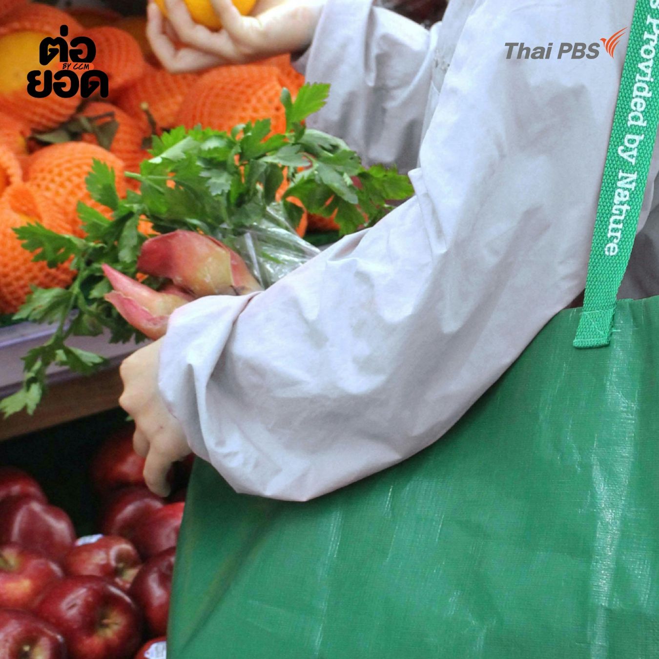 Sustainable Shopping