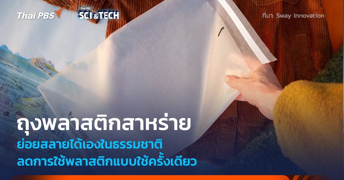 ลบภาพจำ! ถุงพลาสติกสาหร่าย ย่อยสลายได้เอง ลดการใช้พลาสติกแบบใช้ครั้งเดียว