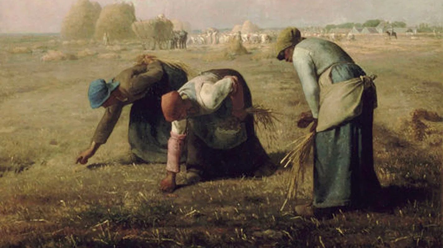 ภาพจากสารคดีเรื่อง THE GLEANERS AND I