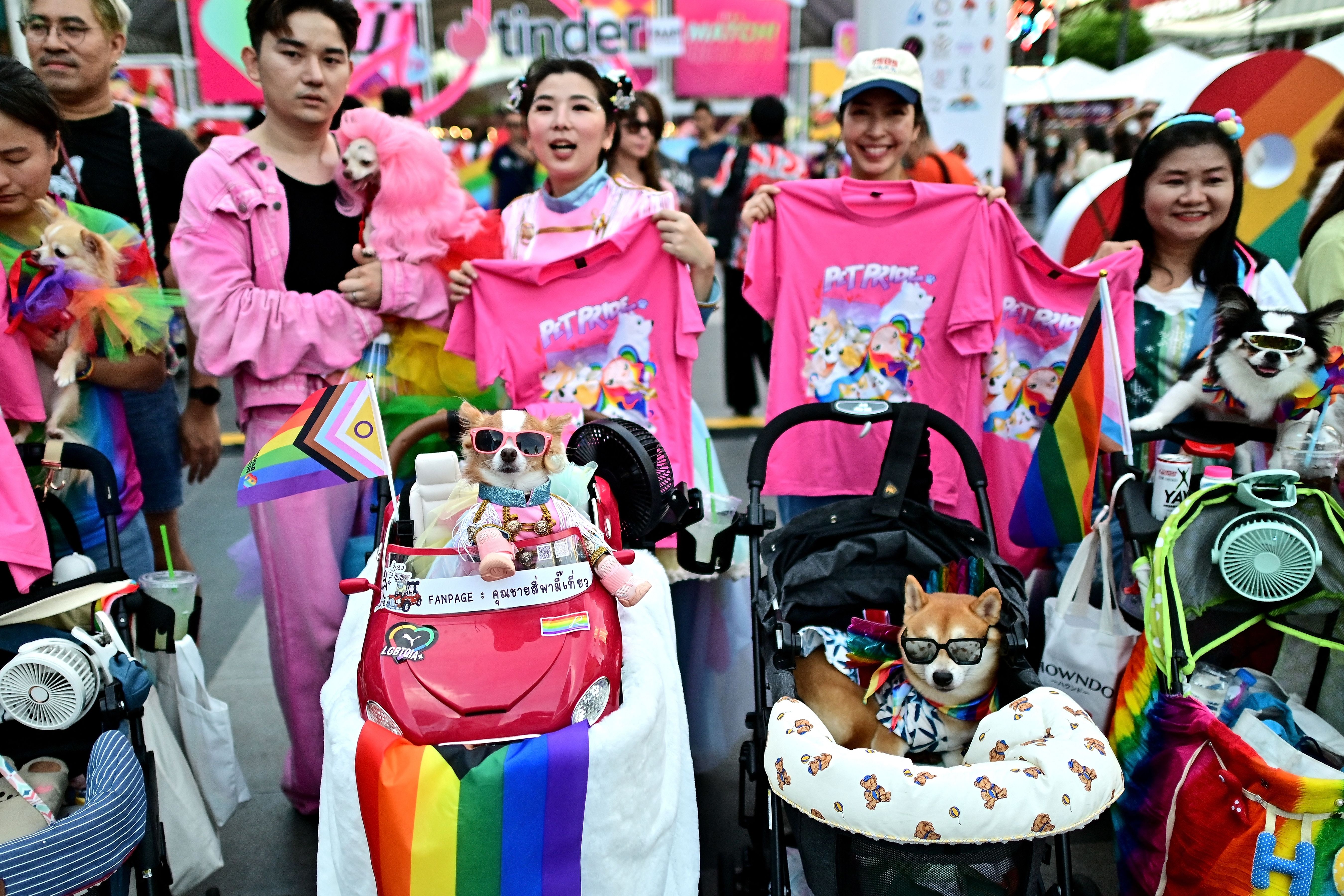 LGBTQ+ เติมเต็มคำว่าครอบครัวด้วยสัตว์เลี้ยง (Photo by Manan VATSYAYANA / AFP)