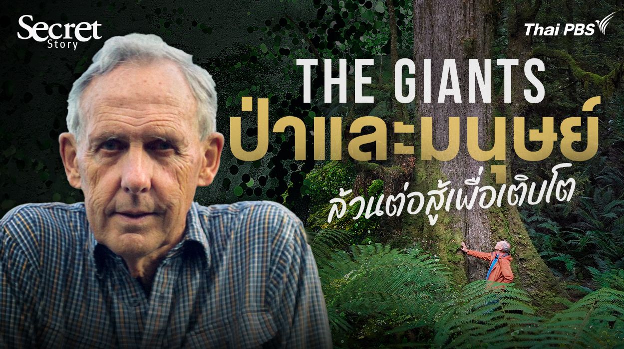 Secret Story | The Giants ป่าและมนุษย์ล้วนต่อสู้เพื่อเติบโต