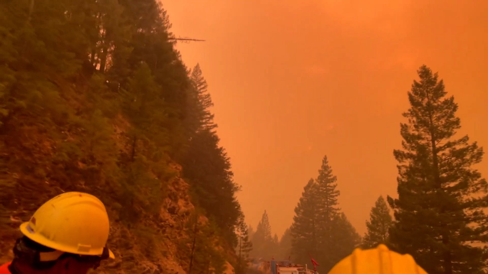 ภาพจากสารคดี The Here Now Project