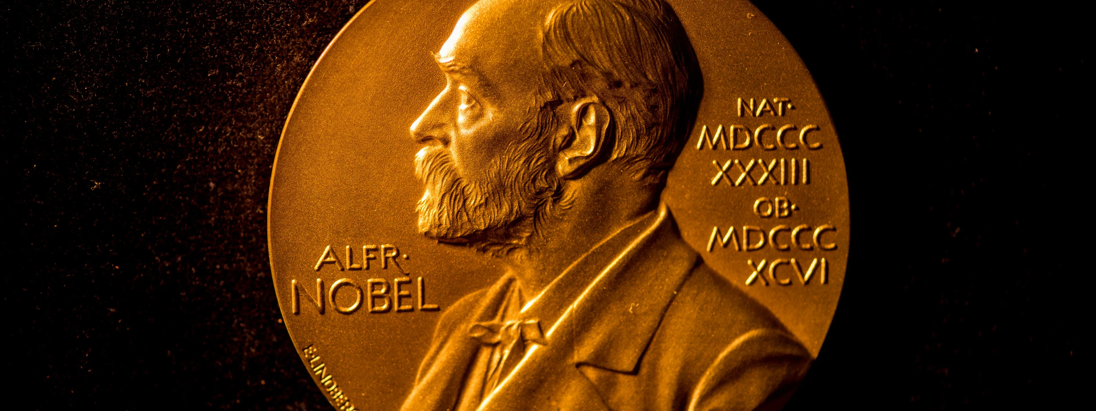 The Nobel Prize medal ภาพจาก Alexander Mahmoud 2018