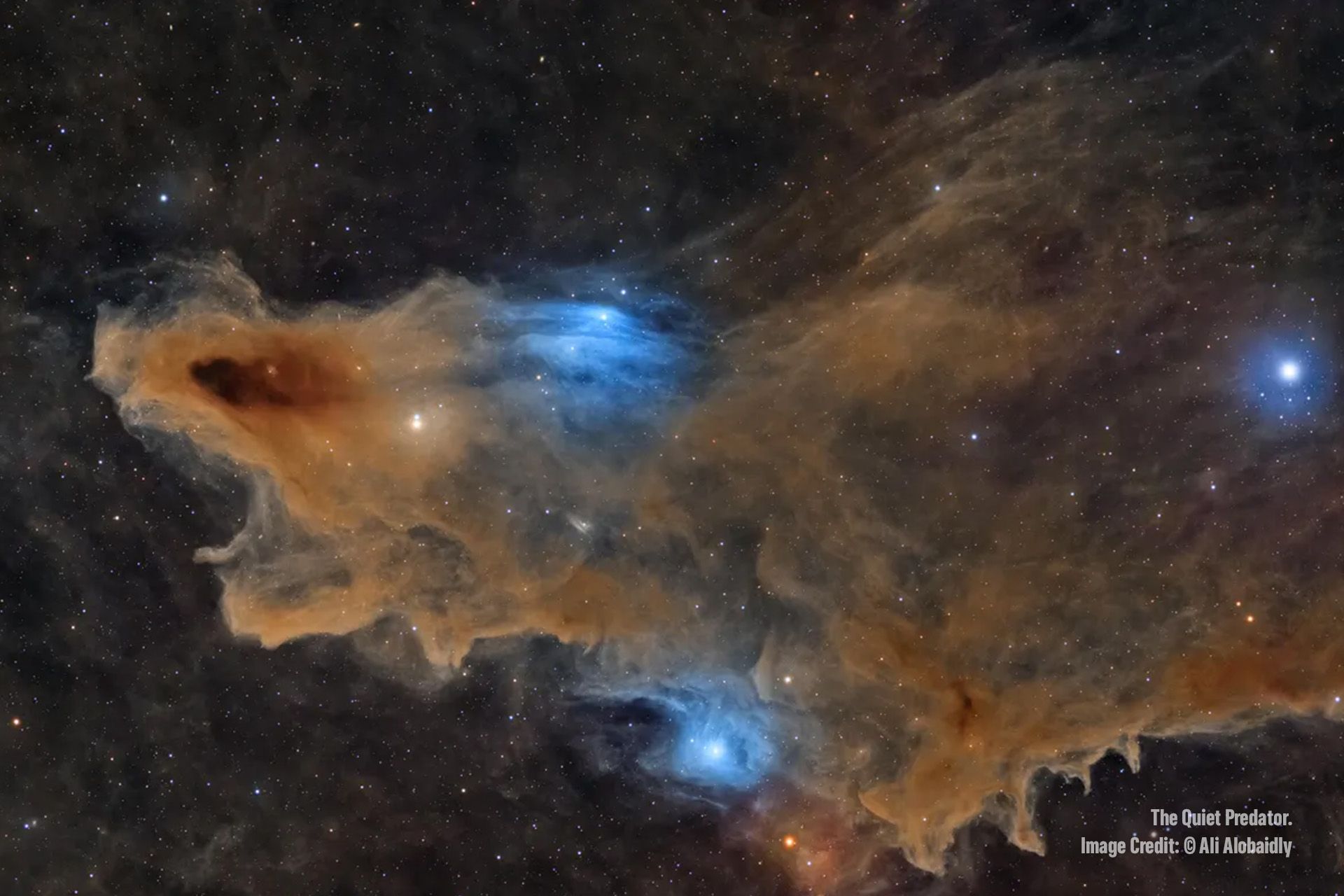 ZWO Astronomy Photographer of the Year ภาพถ่ายดาราศาสตร์แห่งปี 2026