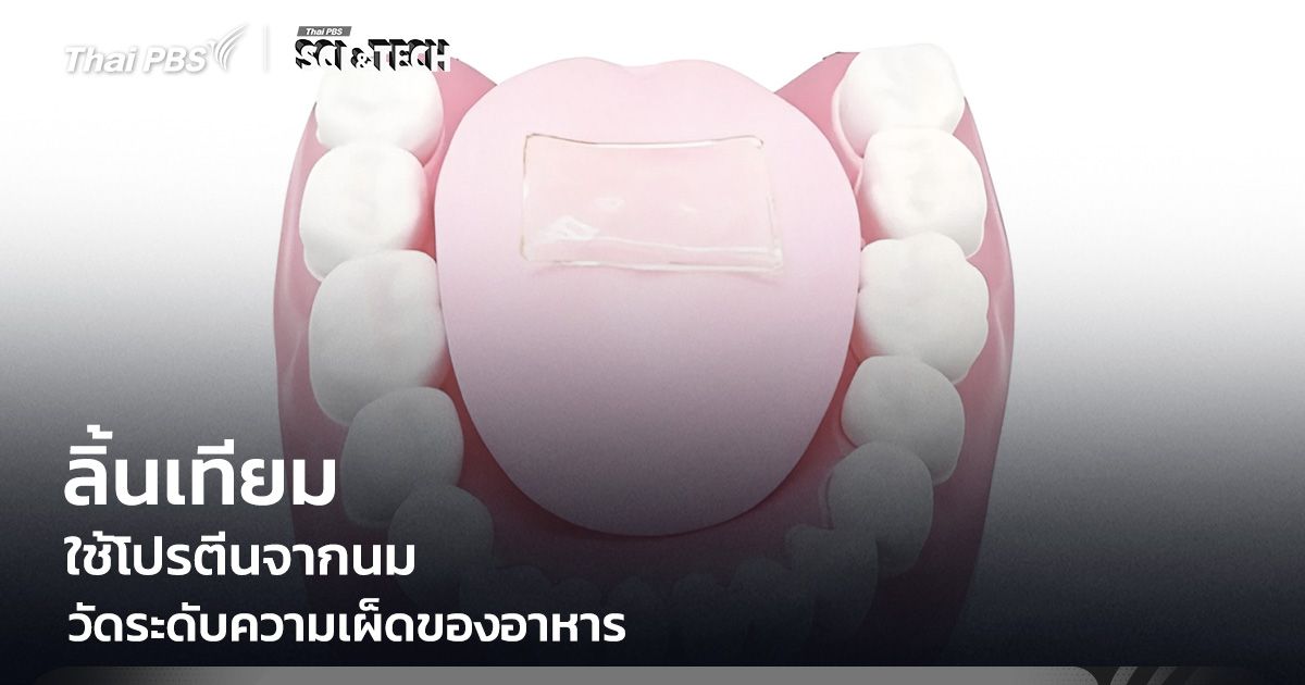 เผ็ดแค่ไหนรู้ได้ทันที! "ลิ้นเทียมจากโปรตีนนม" วัดระดับความเผ็ด ช่วยคุมรสชาติอาหาร