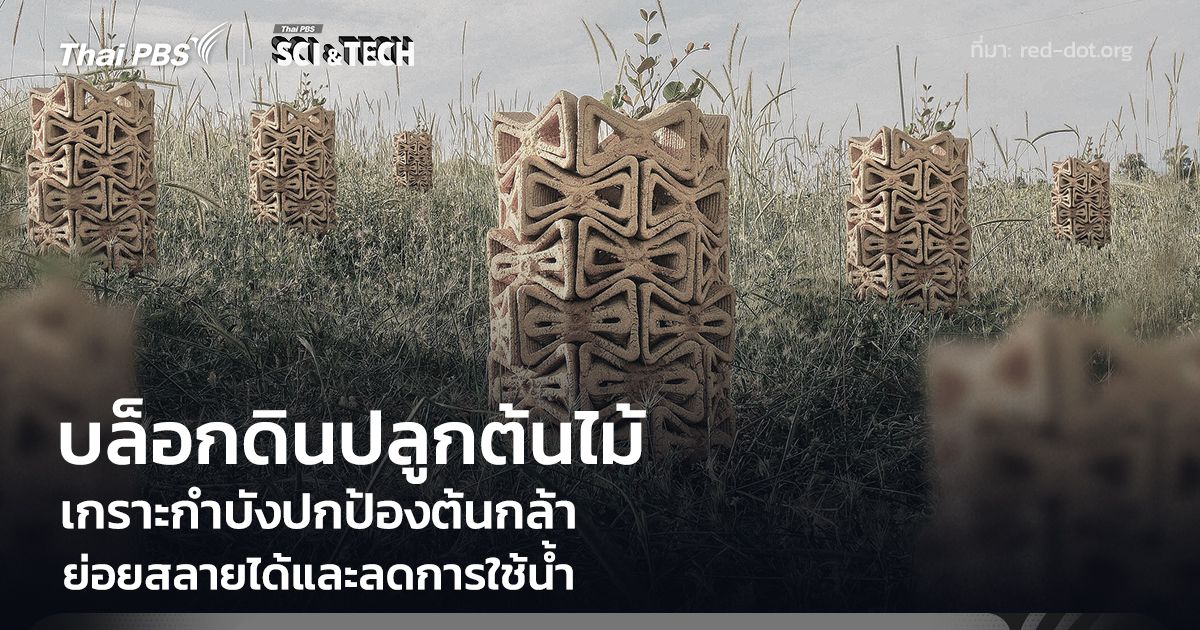 บล็อกดินปลูกต้นไม้ เกราะกำบังปกป้องต้นกล้า ย่อยสลายได้และลดการใช้น้ำ