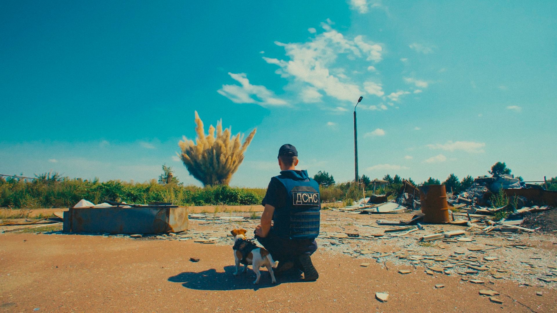 ภาพจากสารคดี US, Our Pets and The War