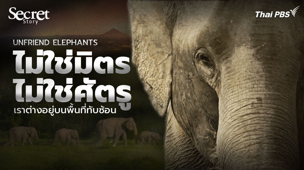 Unfriend Elephants ไม่ใช่มิตร ไม่ใช่ศัตรู เราต่างอยู่บนพื้นที่ทับซ้อน