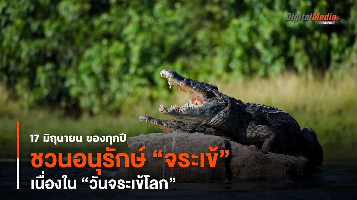 ชวนอนุรักษ์ “จระเข้” เนื่องใน “วันจระเข้โลก”