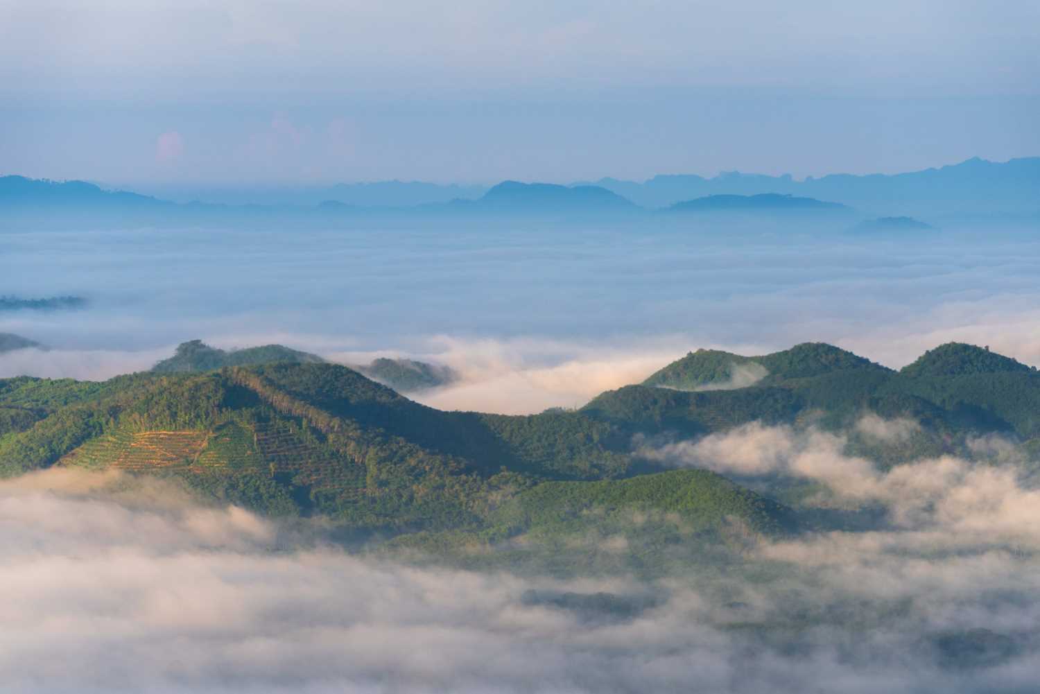 ทะเลหมอกเขาศูนย์ (ภาพจาก: การท่องเที่ยวแห่งประเทศไทย)