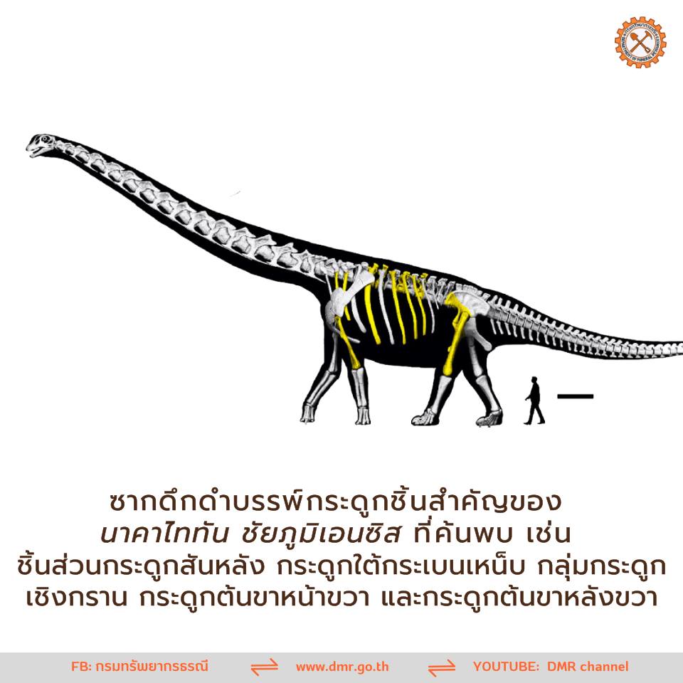นาคาไททัน ชัยภูมิเอนซิส