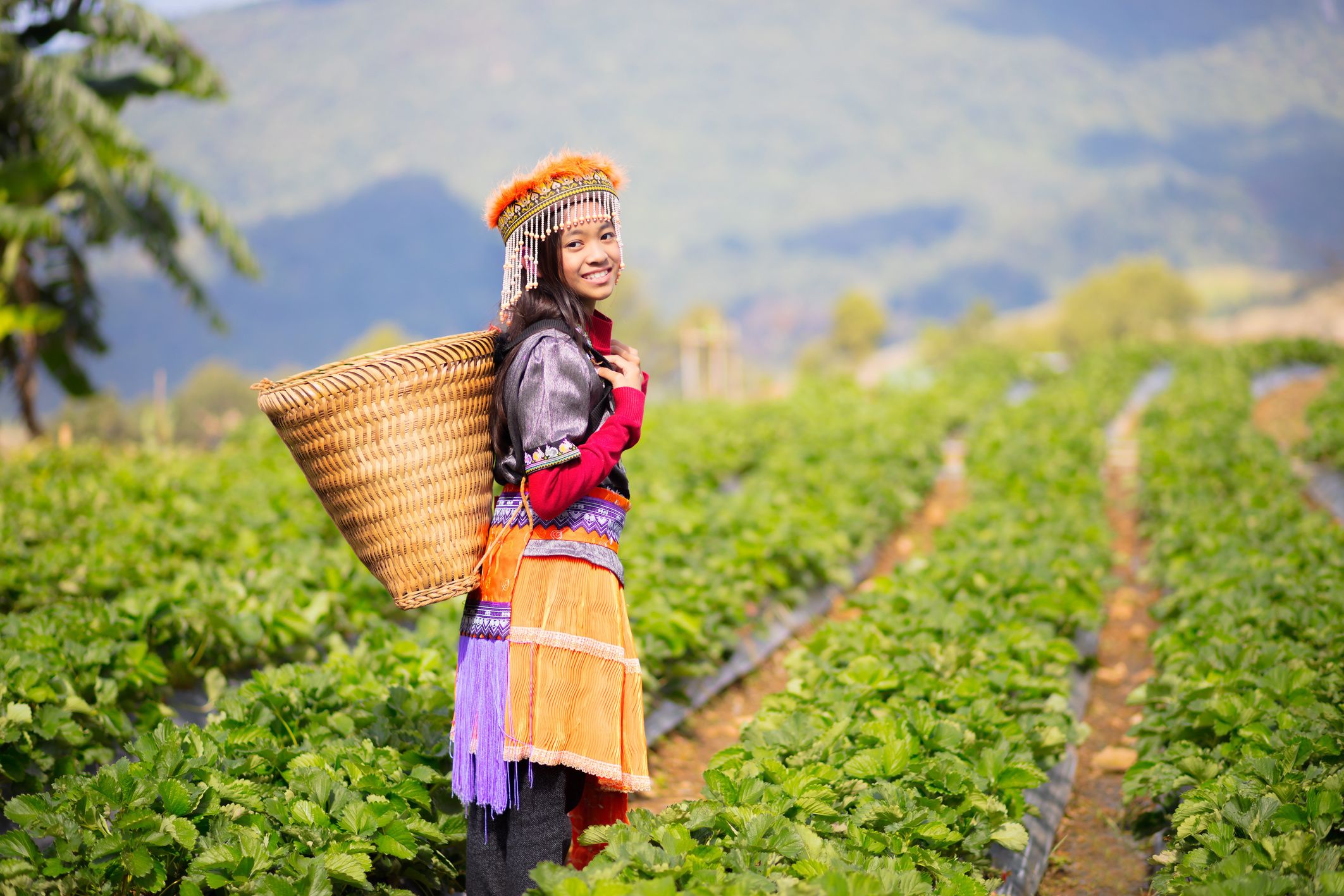 ภาพประกอบบทความ