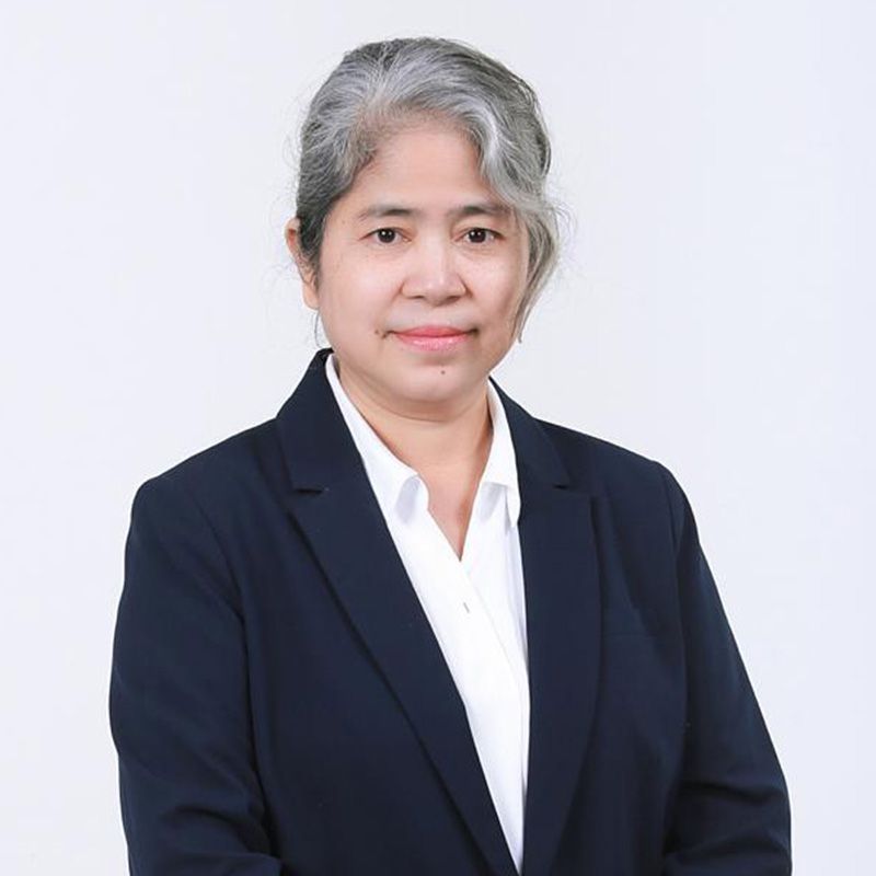 มอน มอน เมี๊ยต ที่ปรึกษาอาวุโสของเดโมเครติค วอย์ซ ออฟ เบอร์มา (DVB)