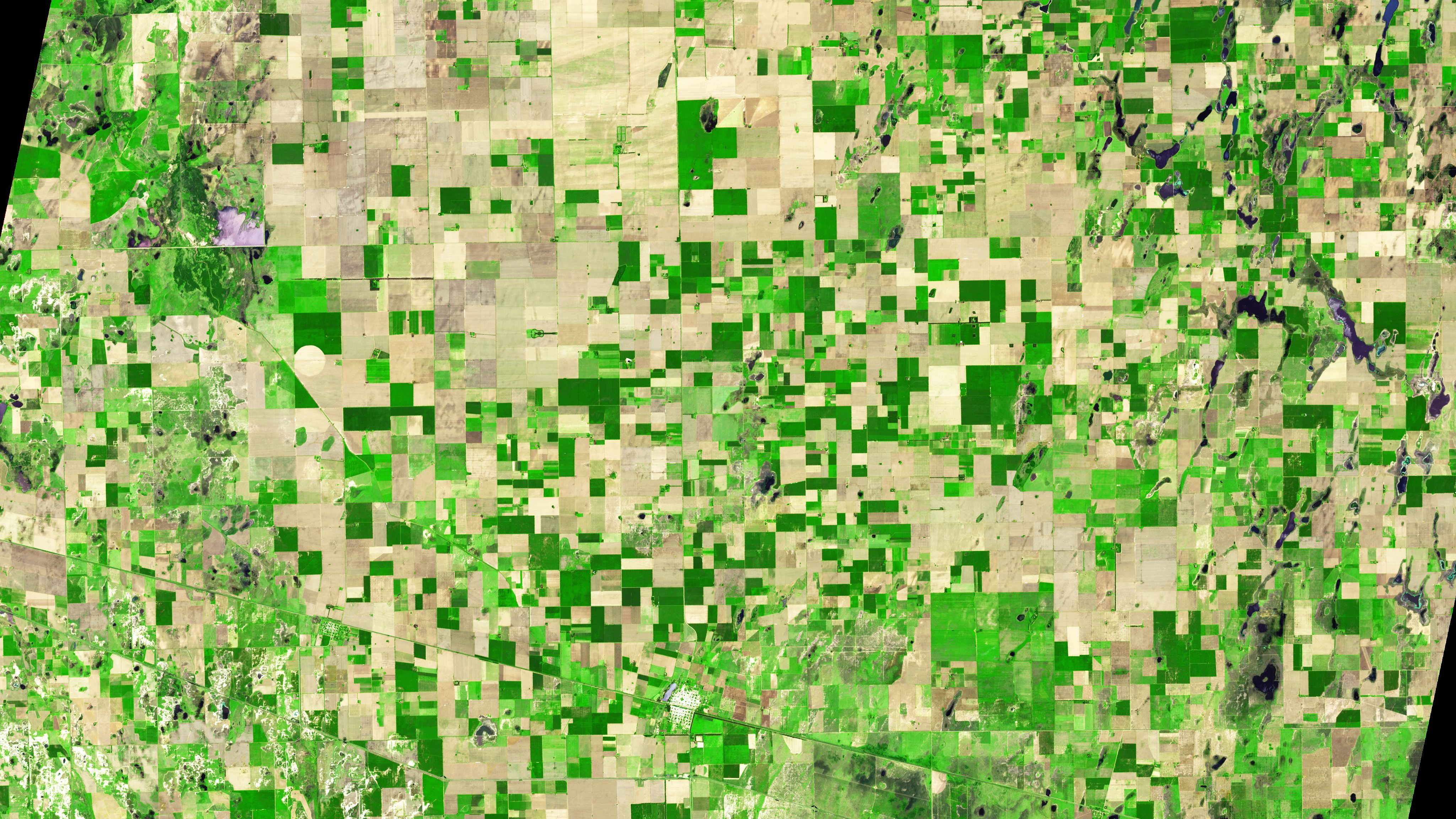 หาเจอกันไหม ? ภาพฟาร์มกีตาร์จากดาวเทียม Terra เมื่อปี 2550 (เครดิต: NASA/GSFC/METI/ERSDAC/JAROS & U.S./Japan ASTER Science Team)