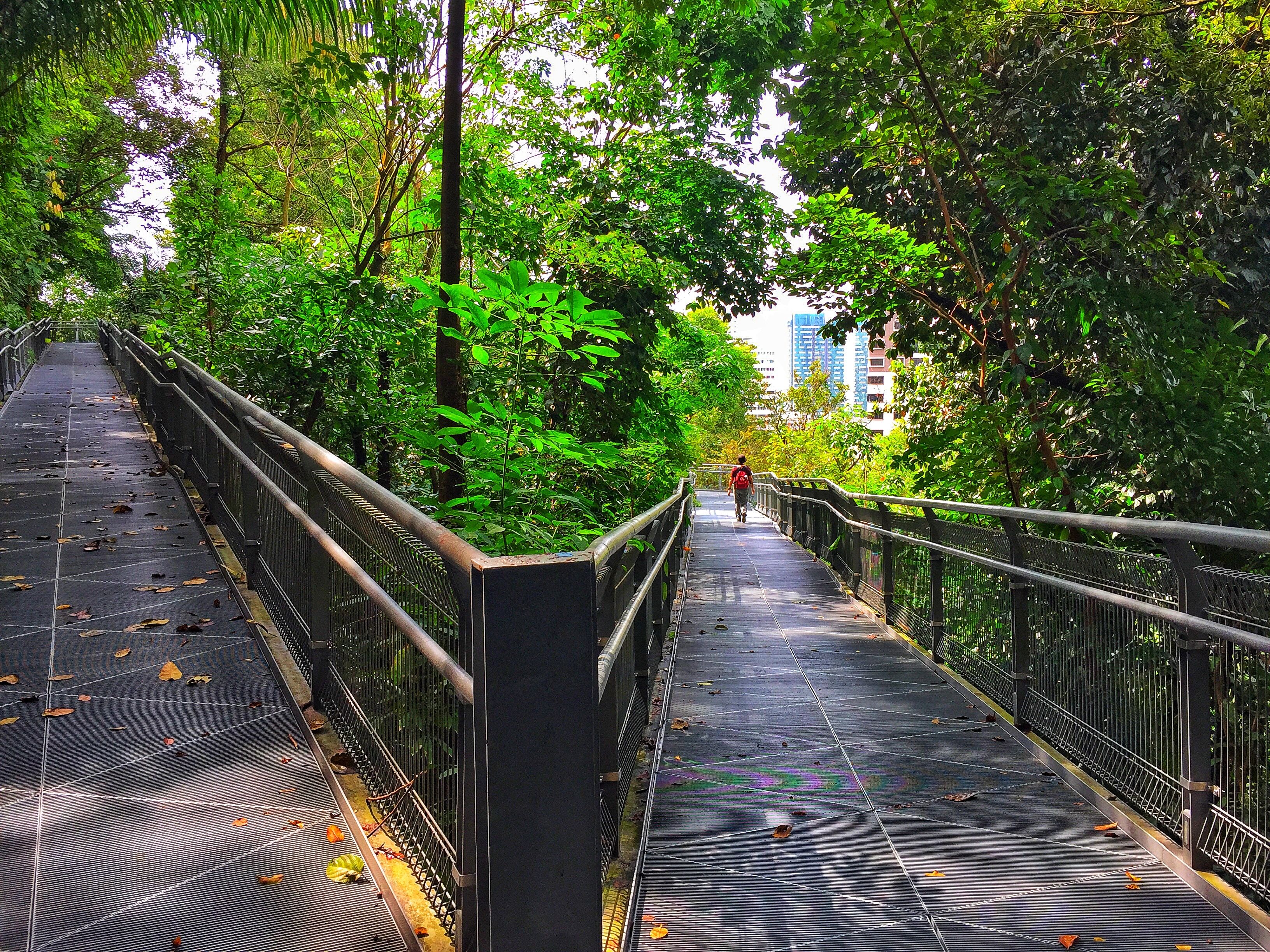 พืนที่สีเขียวที่โอบล้อมเมืองในสิงคโปร์