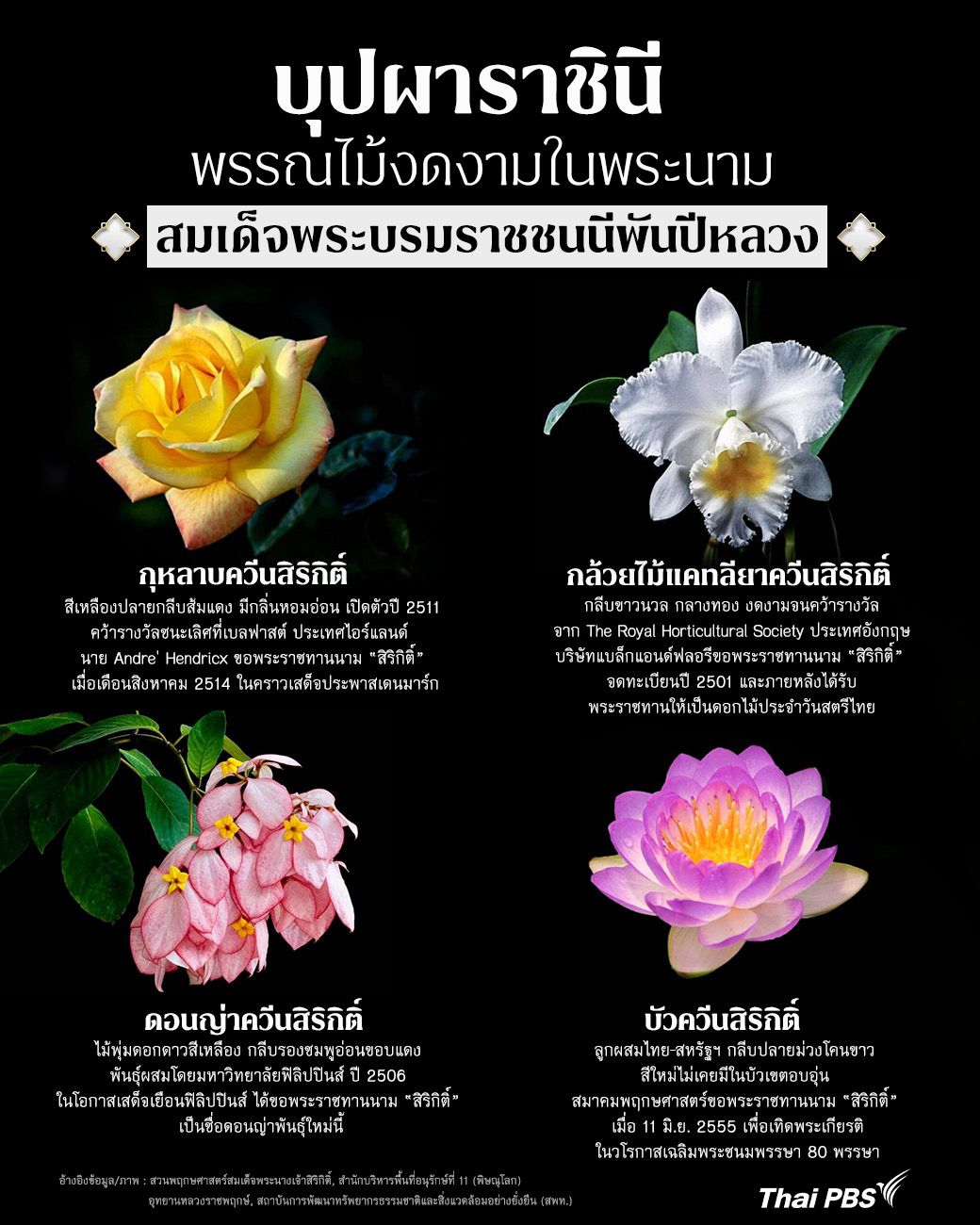 “บุปผาราชินี” พรรณไม้ทรงคุณค่า งดงามในพระนาม “สมเด็จพระบรมราชชนนีพันปีหลวง”
