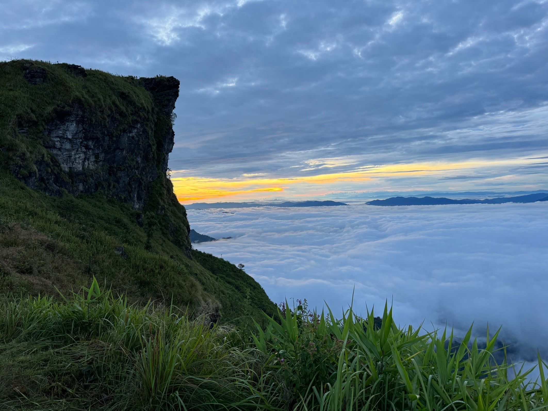 ทะเลหมอกภูชี้ฟ้า จ.เชียงราย