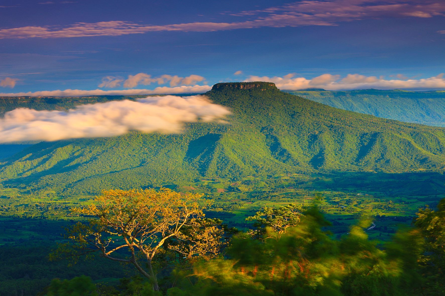 ภูป่าเปาะ ภาพจากการท่องเที่ยวแห่งประเทศไทย