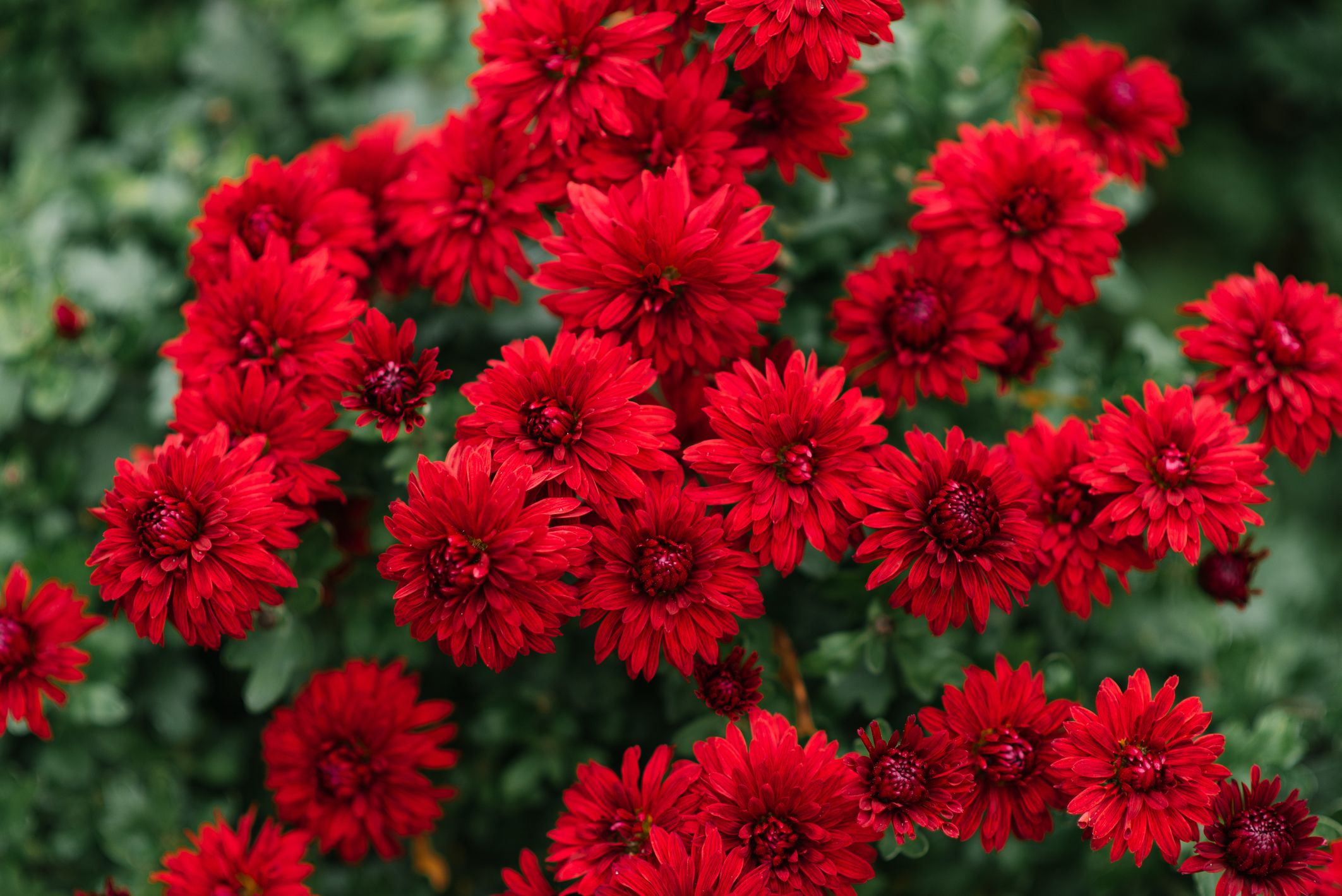 ภาพประกอบบทความ