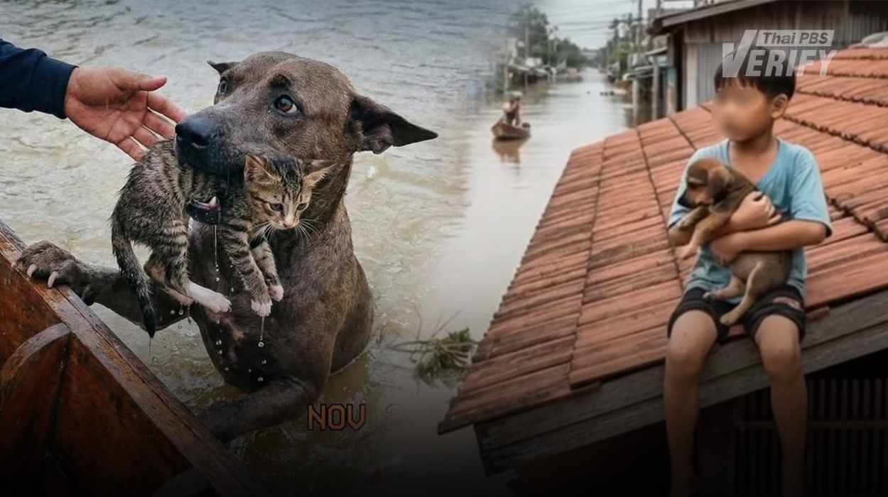 Slop หรือภาพปลอมที่สร้างขึ้นจาก AI ในช่วงมหาอุทกภัยภาคใต้ 2568 (ภาพจาก: Thai PBS Verify)