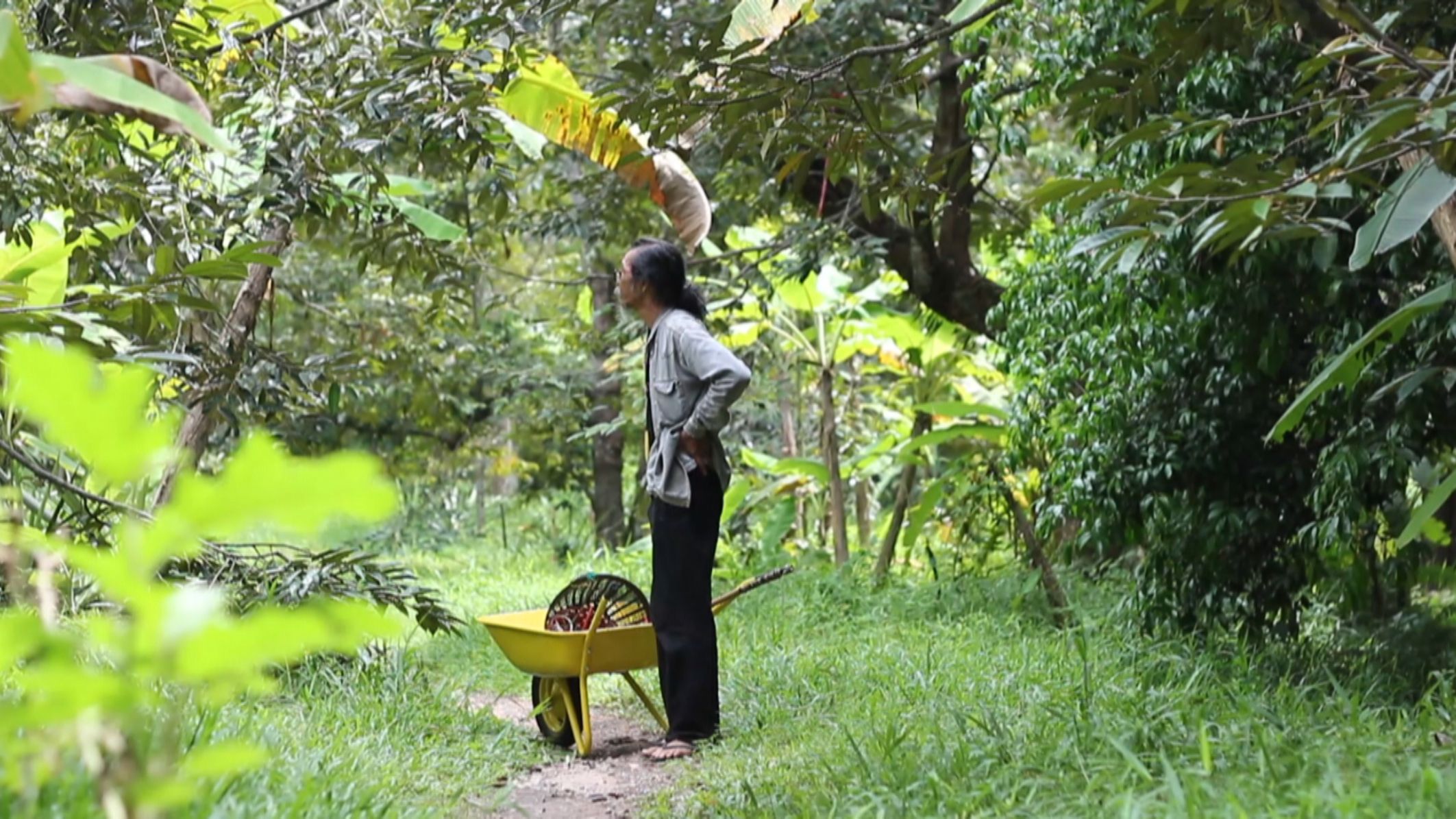 ปฏิรูปที่ดินเพื่อพื้นที่ทำกินของคนไทย