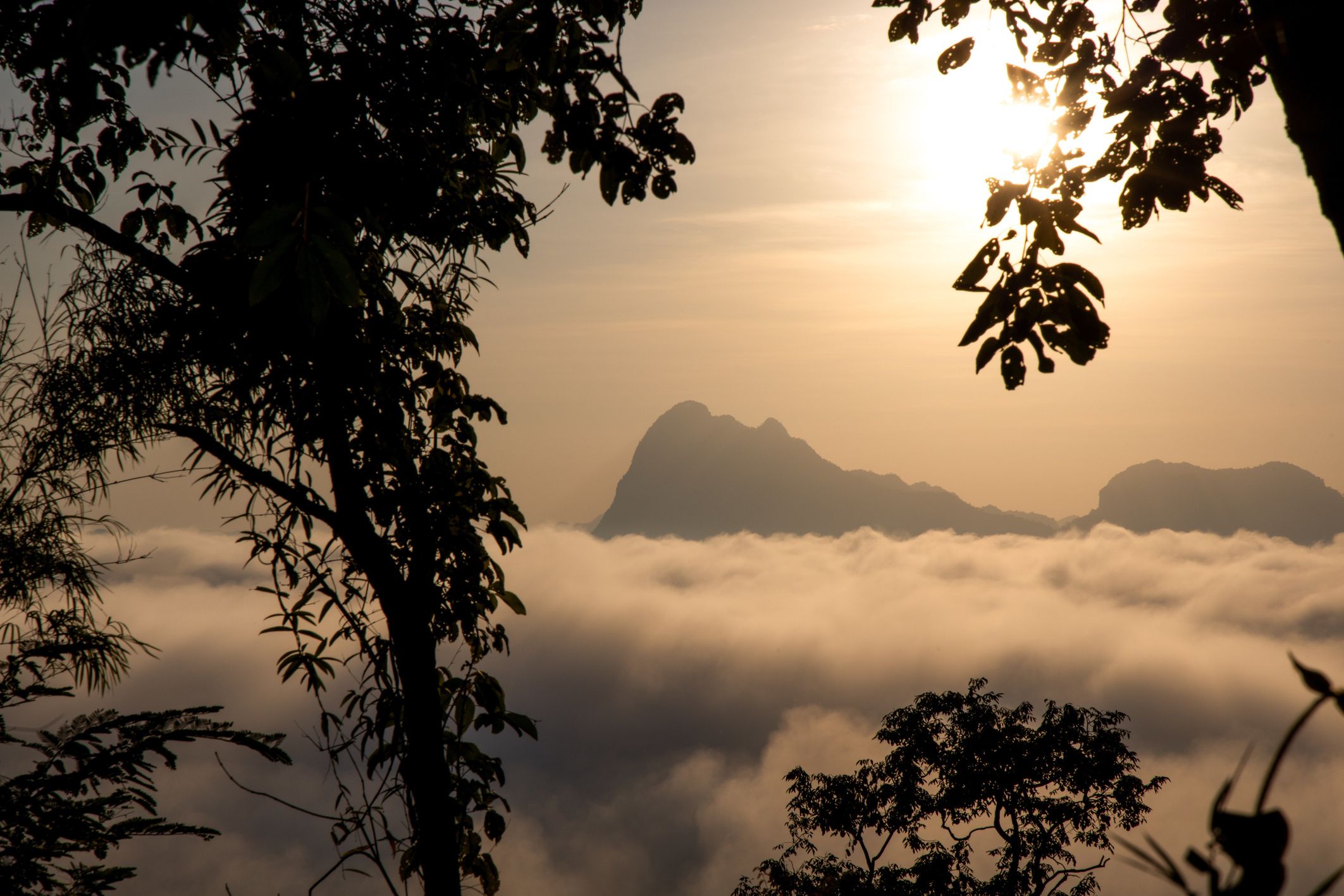 Phu Kradueng National Park