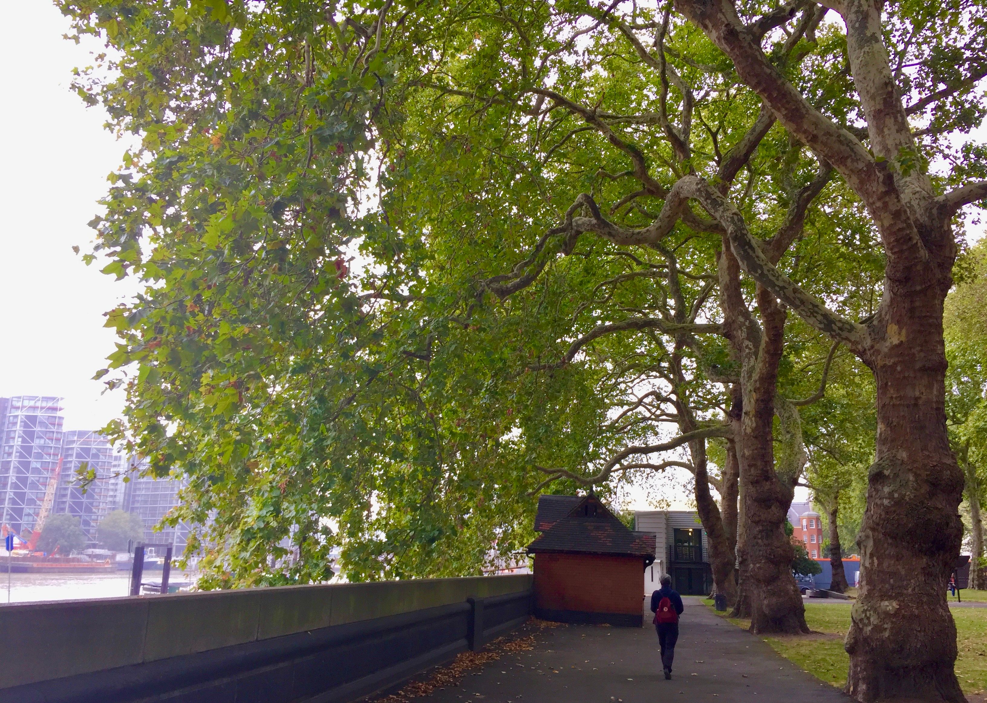 สวนสาธารณะในกรุงลอนดอน