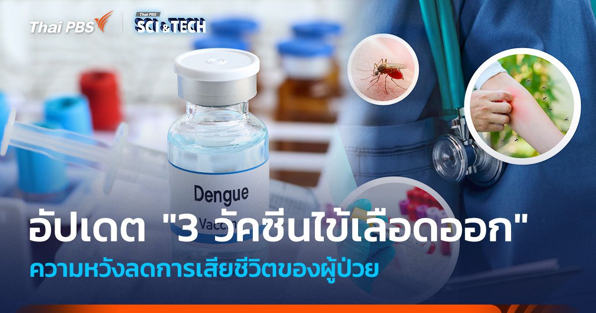 อัปเดต 3 วัคซีนไข้เลือดออก ความหวังลดการเสียชีวิตของผู้ป่วย