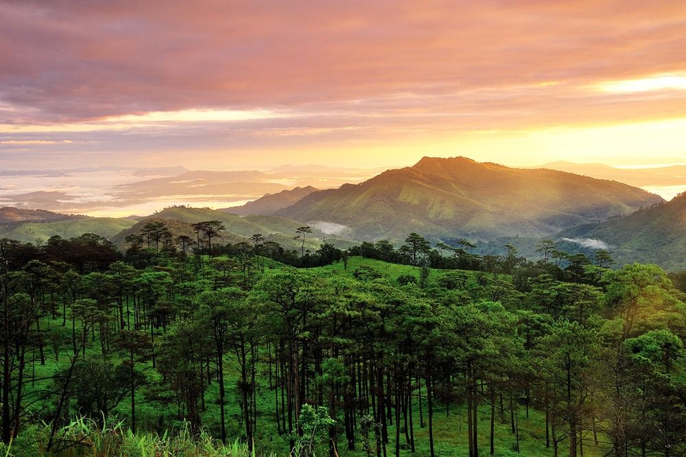 อุทยานแห่งชาติภูสอยดาว (ภาพจาก ททท.)