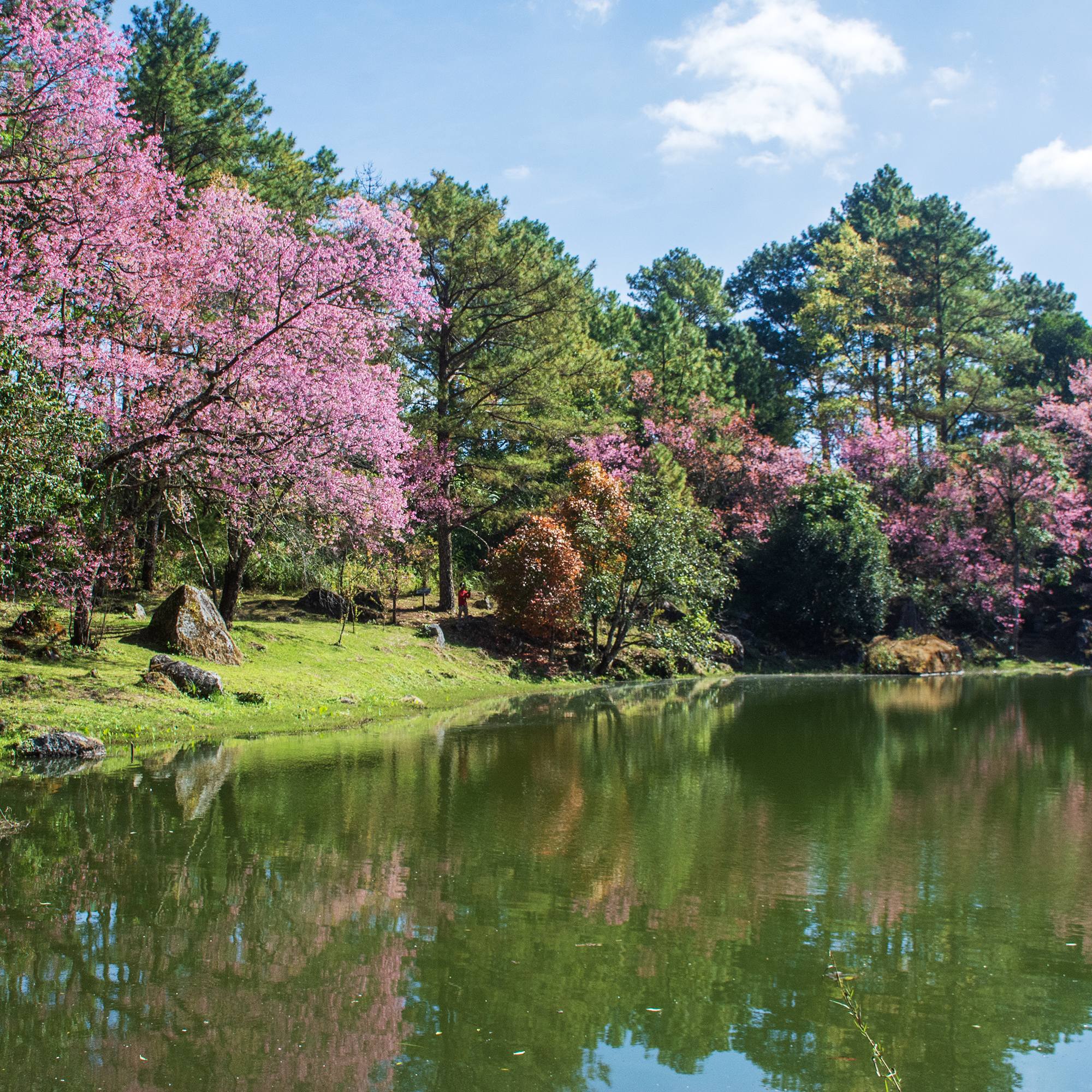 ภาพจากอนุสาร สอท