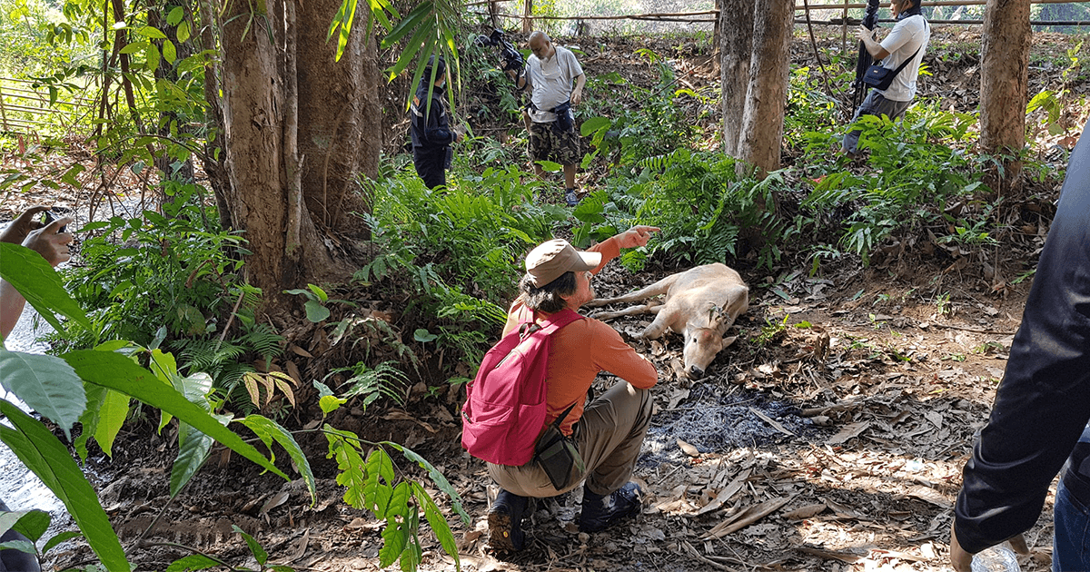 ตามหาความจริง ณ หมู่บ้าน “ปิล็อกคี่”