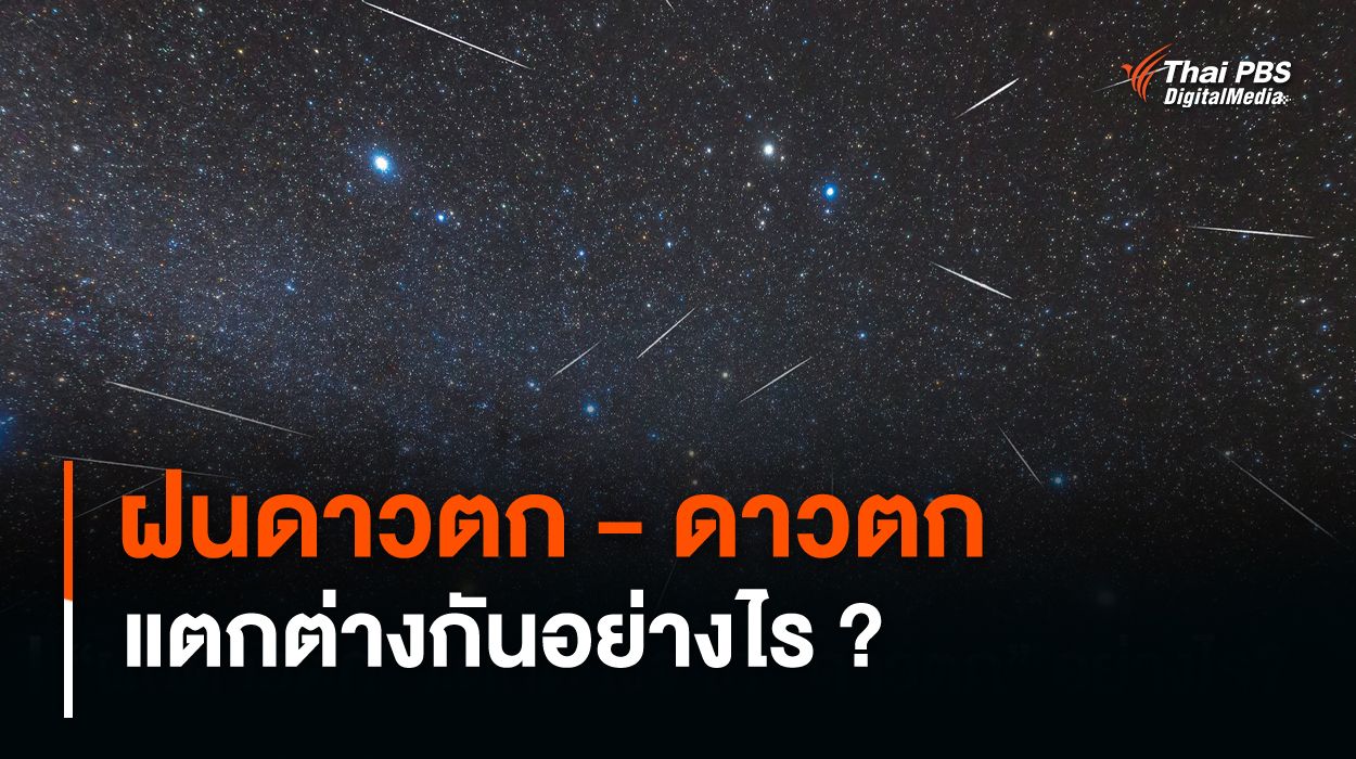 "ฝนดาวตก" คืออะไร แตกต่างจาก "ดาวตก" อย่างไร ?