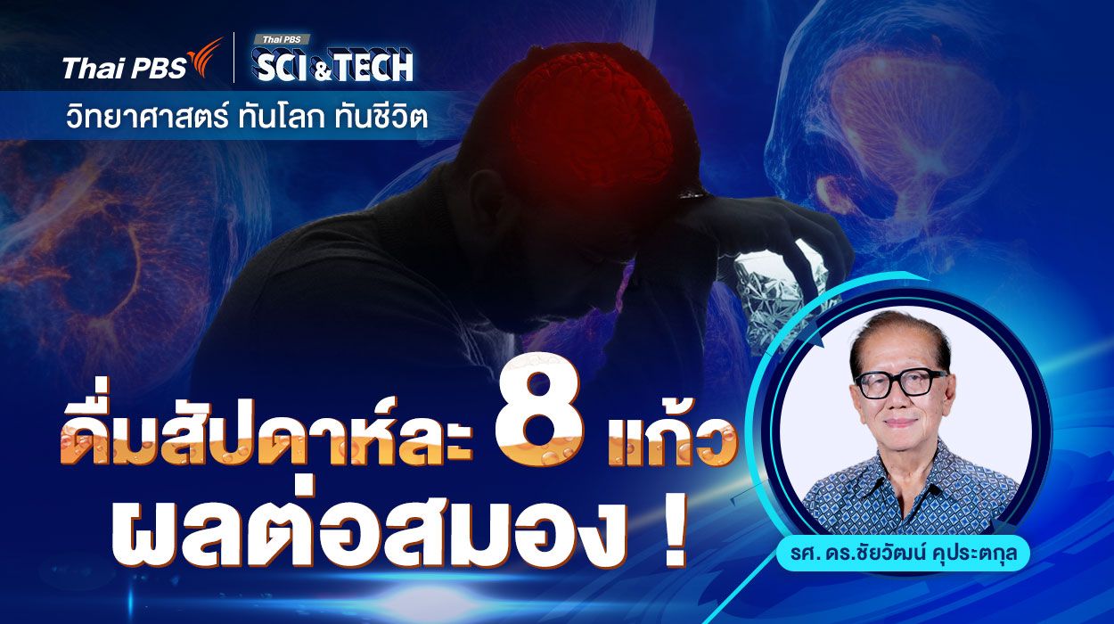 ดื่มสัปดาห์ละ 8 แก้ว : ผลต่อสมอง !