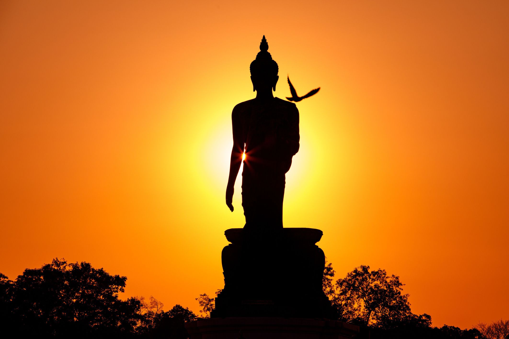 ภาพประกอบบทความ