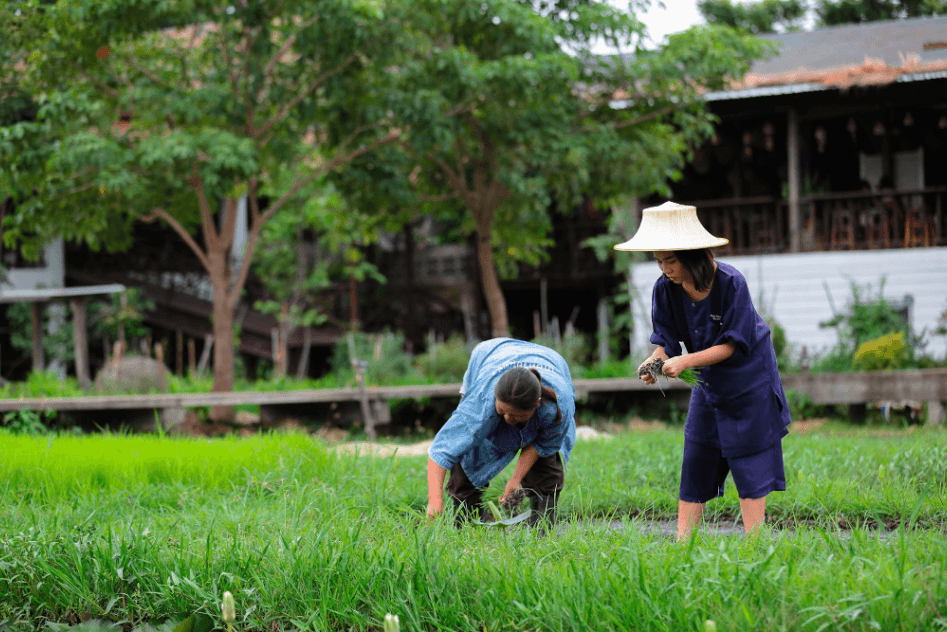 ที่มา การท่องเที่ยวแห่งประเทศไทย.png