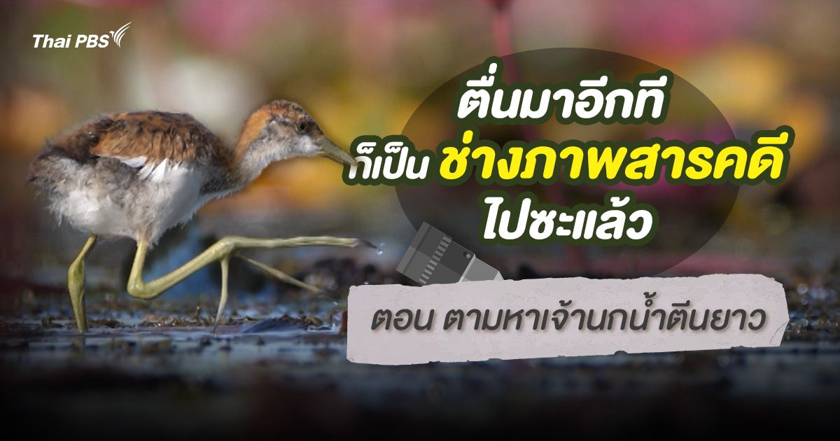 ตื่นมาอีกที ก็เป็นช่างภาพสารคดีไปซะแล้ว  : ตามหาเจ้านกตีนยาว