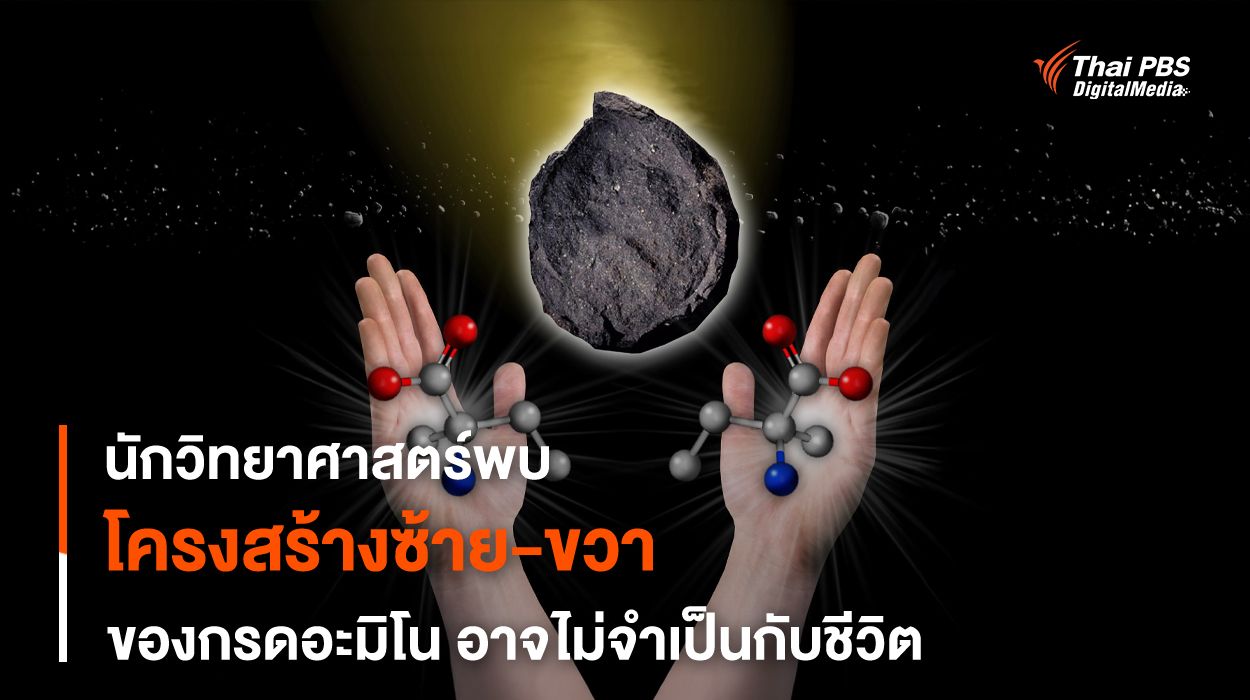 ปริศนากรดอะมิโน เมื่อโครงสร้างซ้าย-ขวาอาจไม่ได้จำเป็นกับชีวิต